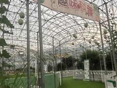 -盈香心动乐园