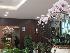 -桃仙机场头等舱休息室