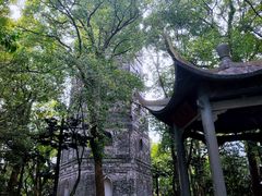 -江心屿景区
