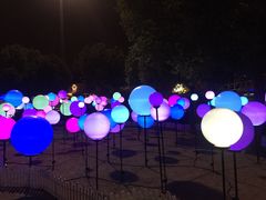 -锦江乐园舞狸花花游园会(夜场专享)