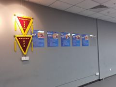 -搏鸣乒乓球俱乐部(万柳店)