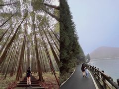 -武陵山森林公园