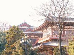 -西安青龙寺遗址景区