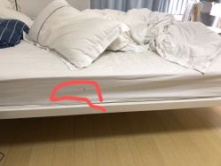 -敦南真爱月子会所(黄埔店)