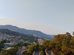 -福道