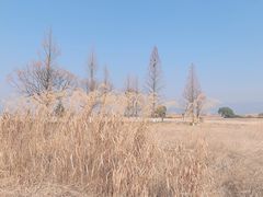 -良渚古城遗址公园