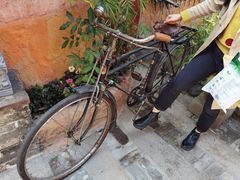 -园林美食城·本土农家菜(杨和镇店)