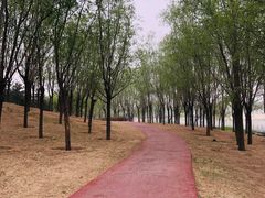 -马家湾湿地公园