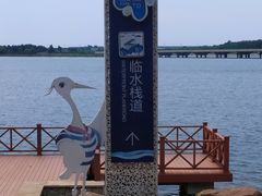 -丁香湖公园