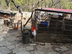 -二当家山庄(崮五路店)