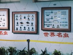 -上海昆虫博物馆