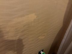 -长沙小天鹅戴斯酒店