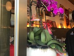 -笑来喜馄饨小笼工坊店(湖滨街店)