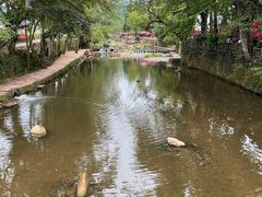 -雅安上里古镇