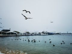 -海驴岛(荣成市)