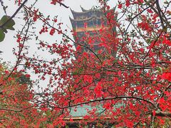-塔子山公园