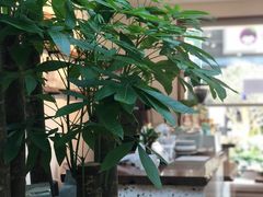 -Line 咖啡(石厦花园店)