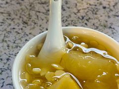 南北杏炖雪梨-沙湾姜埋奶(兴新包店)