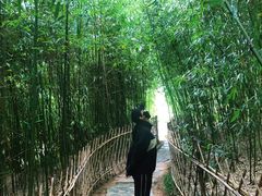 -竹子庵公园