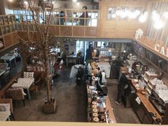 大堂-Cafe Alice咖啡爱丽丝(奥城店)