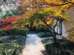 -采石矶景区