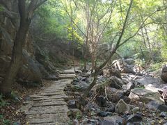 -云岫谷自然风景区