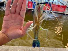 -粮心小农·大头虾亲子生态园(长发店)