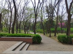 -玲珑塔公园