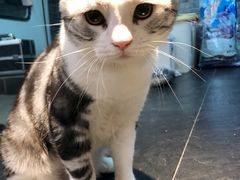 -Goku PET SHOP宠物视觉生活馆(双井店)