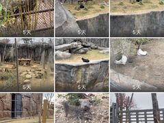 -武汉动物园