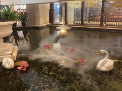 -广州白天鹅宾馆