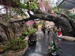 -云境生态园(高新旗舰店)