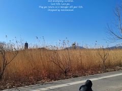 -永定河休闲森林公园