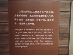 -上海纺织博物馆