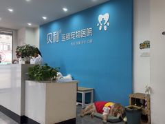 -贝利宠物医院·骨科·眼科·肿瘤转诊中心(南坪诊疗中心)