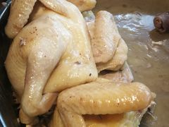 -文昌鸡饭店110号(中山路店)