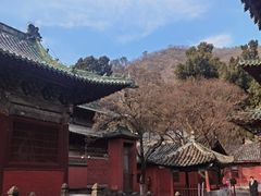 -报恩寺(平武县)