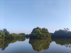 -大湾区中央湿地公园