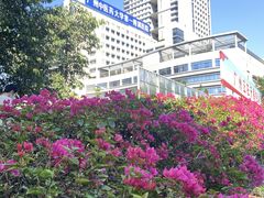 -广州中医药大学第一附属医院(总院)
