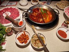 -小龙坎火锅(全球旗舰店)