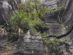 -梭布垭石林景区