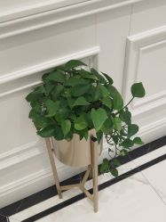 -拉瑞娜LaReine婚纱礼服高级定制