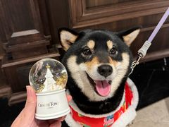 -CHARLIETOWN红茶公司(南京万象天地店)