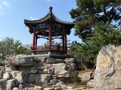 -大兴滨河森林公园