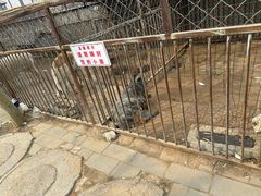 -河北村民俗体验园