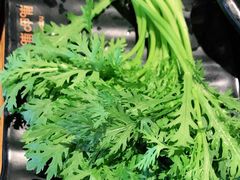 -呷哺呷哺 蔬菜畅吃(中发百旺店)