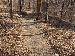 -北京西山国家森林公园