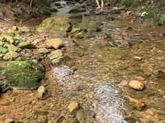-南海湾森林生态园