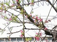 -锦江之星(济南大明湖店)