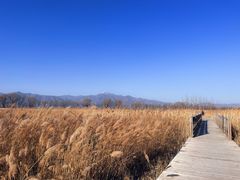 -野鸭湖国家湿地公园